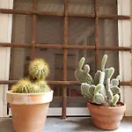 Ca' De Pria 아파트