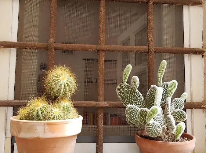 Ca' De Pria Apartment